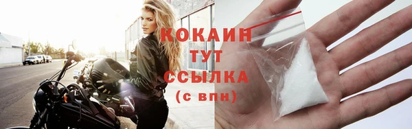 стаф Аркадак