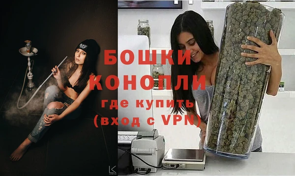стаф Аркадак